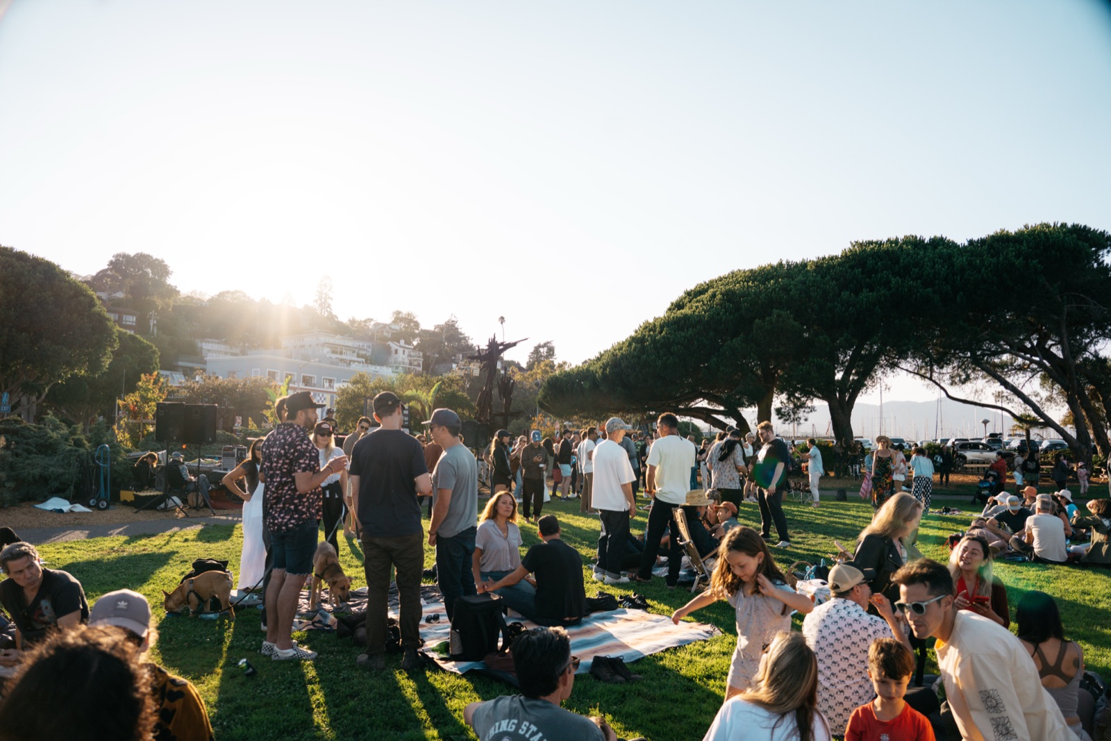 The crowd in the evening sun at Dunphy Park, DJs by the Bay 2025